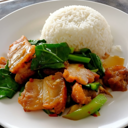 คะน้าหมูชิ้นราดข้าว