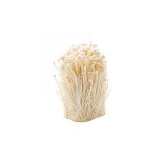 เห็ดเข็มทอง