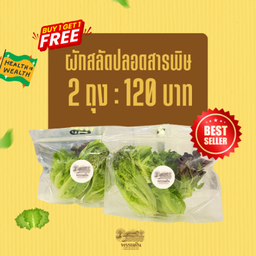 1แถม1 : ผักสลัดปลอดสาร ( size S )
