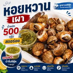 หอยหวานเผา 500 กรัม