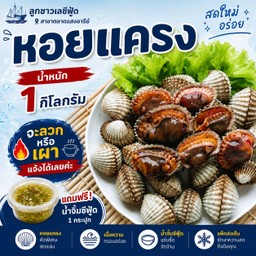 หอยแครง  ลวก 1 กิโลกรัม
