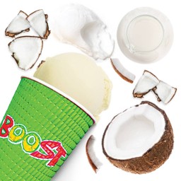 Coconut Smoothie