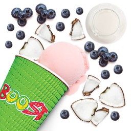 Coconut Berry