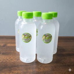 น้ำมะพร้าว 5 ขวด (250ml)