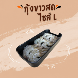 กุ้งขาวสด (L)
