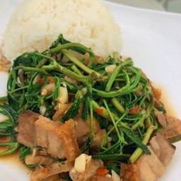 หมูกรอบกระเฉดราดข้าว