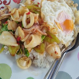 กระเพราปลาหมึก ไข่ดาว
