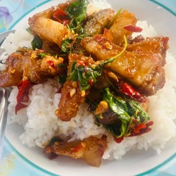 ข้าวกระเพราหมูกรอบ ไข่ดาว