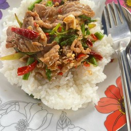 ข้าวกระเพราเนื้อ ไข่เจียว