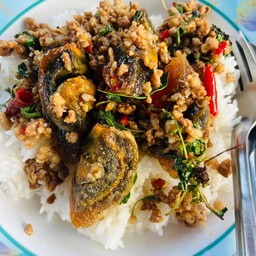 ข้าวกระเพราหมูสับไข่เยี่ยวม้า