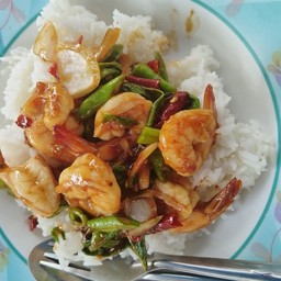 กระเพรากุ้ง ไข่ดาว
