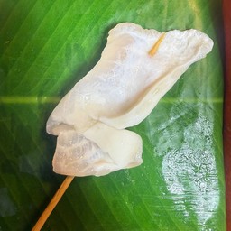 ปลาดอลลี่