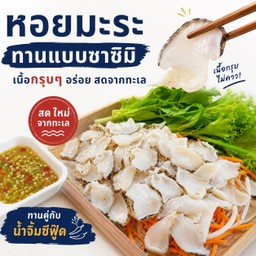 หอยมะระ ซาซิมิ