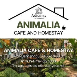 Animalia Cafe