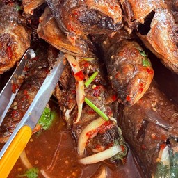 ปลาโอราดพริก