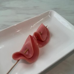 โบโลน่า