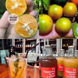 มะปี๊ด Honey Soda