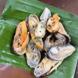 เพิ่มหอยแมลงภู่