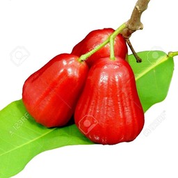 ชมพู่