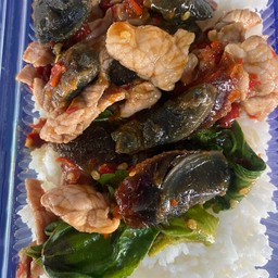 กะเพราหมูชิ้นไข่เยี่ยวม้าราดข้าว