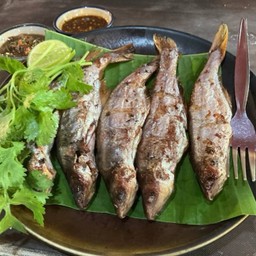 ปลายอนย่างเกลือ