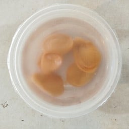 สละลอยแก้ว