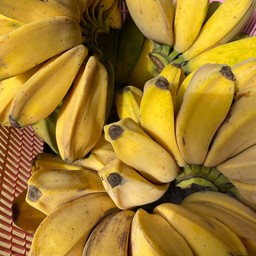 กล้วยหิน