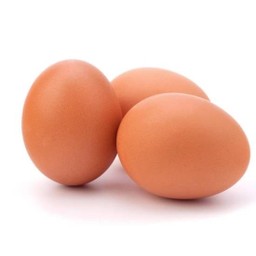 ไข่ไก่