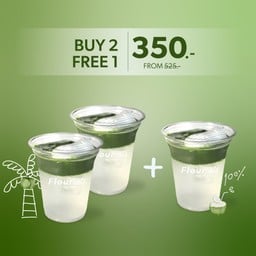 Coconut Yame Matcha 2 free 1