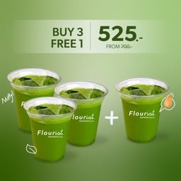 Ceremonial Iwa Matcha Latte 3 แถม 1