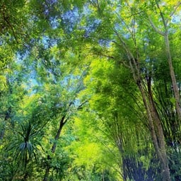 วัดบรรพตคีรี