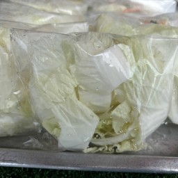 ผักกาดขาว