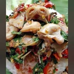 ข้าวกระเพราไส้ตัน