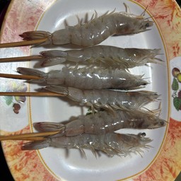 กุ้งขาว