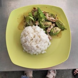 แขนงหมูชิ้นราดข้าว