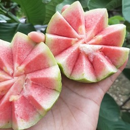 ผลไม้สดบ้านก้อย(บ้านจ้อง)
