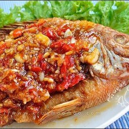 ปลานิลทอดราดพริก ราคาพิเศษ