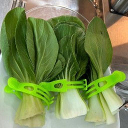 กวางตุ้ง