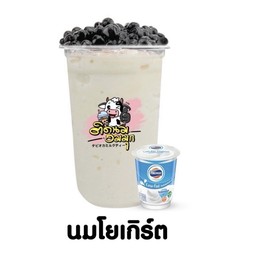 นมโยเกิร์ต (ฟรีไข่มุก)