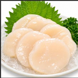 8240.D-Hotate Sashimi