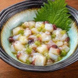 8247.D-Tako Wasabi