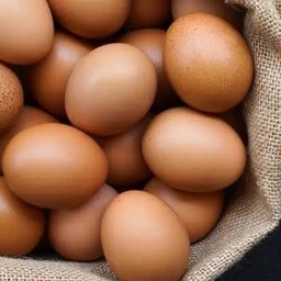 ไข่ไก่