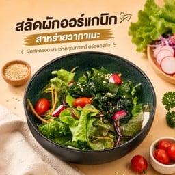 สลัดผักออร์แกนิก สาหร่ายวากาเมะ