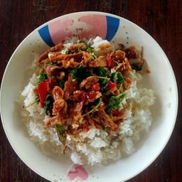 กระเพราเนื้อราดข้าว