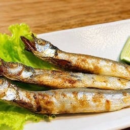8246.D-Shishamo Aburi