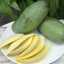 มะม่วงมัน (เขียวเสวย) - กรอบ หวานมัน อร่อย
