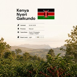 KENYA, Medium-Light Roast