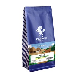 ETHIOPIA, GUJI, G1, WUBANCHI, SUPERNATURAL PROCESS
