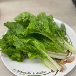 ผักกาดขาวน้อย