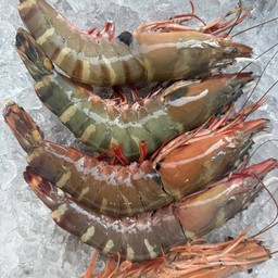 กุ้งลายเสือผัดพริกเกลือ